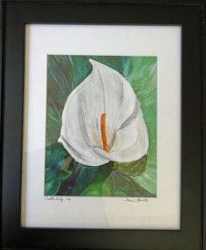 Calla Lily - Framed Print