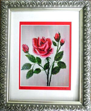Red Rose - Framed Print