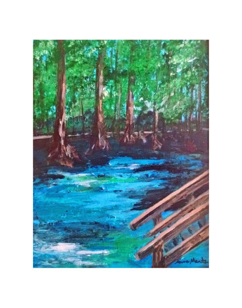 Ginnie Springs - Print #2