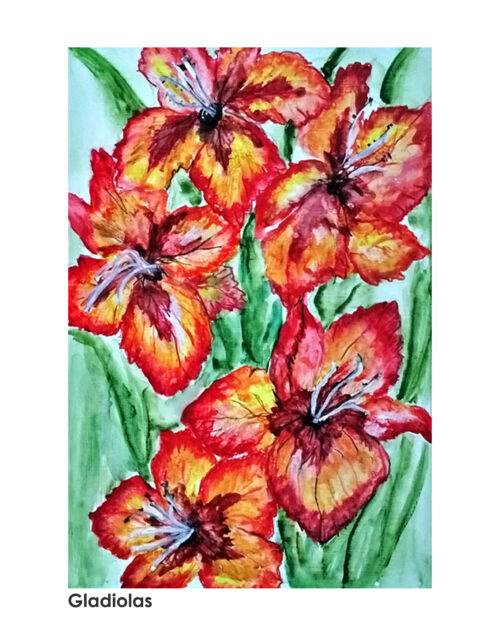 Gladiolas-Print