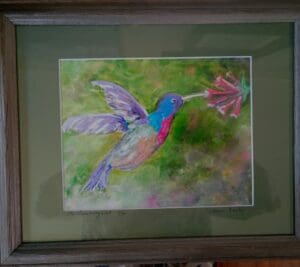 Hummingbird - Framed Print